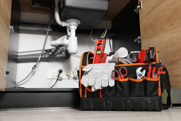 Best Septic Systems  in Mesita, NM