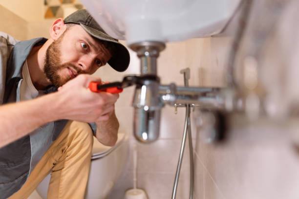 Best Commercial Plumbing Services  in Mesita, NM