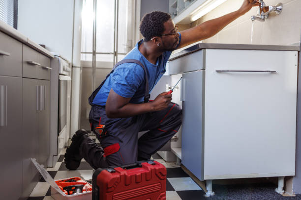 Best Local Plumber Services  in Mesita, NM
